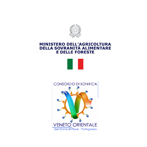 Logo sito